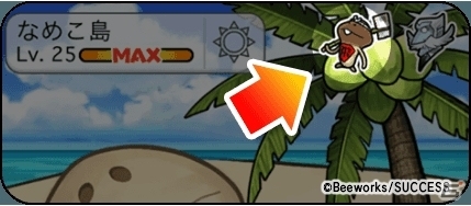 「なめこ栽培キット ザ・ワールド」新ステージの沖縄が登場！博士ランク3以上で調査可能にの画像3