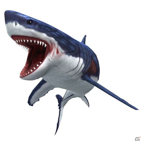 「釣りスピリッツ Nintendo Switchバージョン」賞金稼ぎとして海の魚たちに挑む「ぼうけんモード」を紹介！の画像32