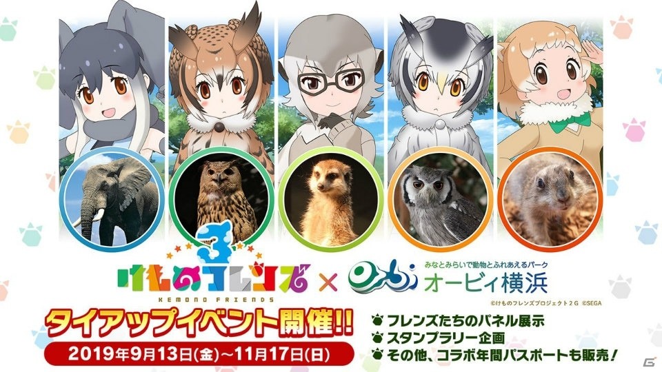 「けものフレンズ3 わくわく探検レポート #3.0」でアプリ版＆アーケード版のオープニングムービーが公開！の画像5