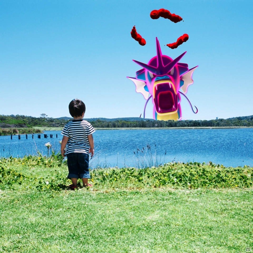 巨大化したポケモンをカメラでゲット！スマホ向けWebコンテンツ「Pokémon ダイマックスカメラ」が提供開始の画像7