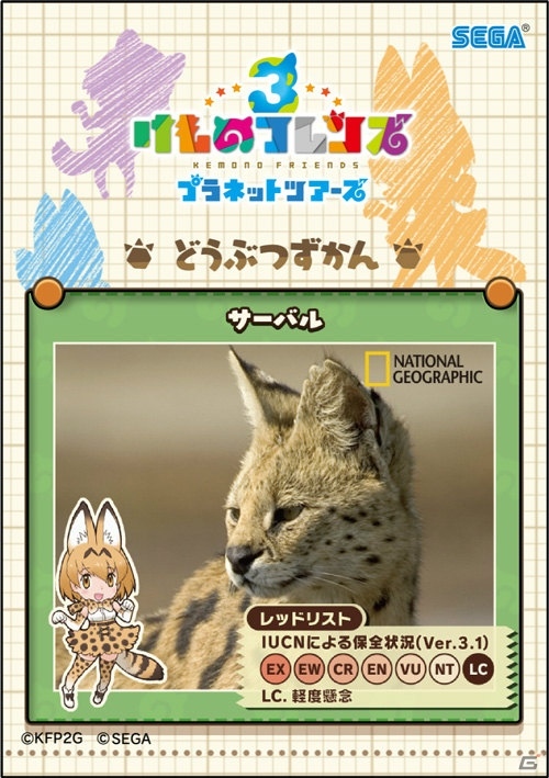 アーケード版「けものフレンズ3 プラネットツアーズ」が本日稼働開始！はなまるアニマルによるHOW TOムービーも公開の画像35