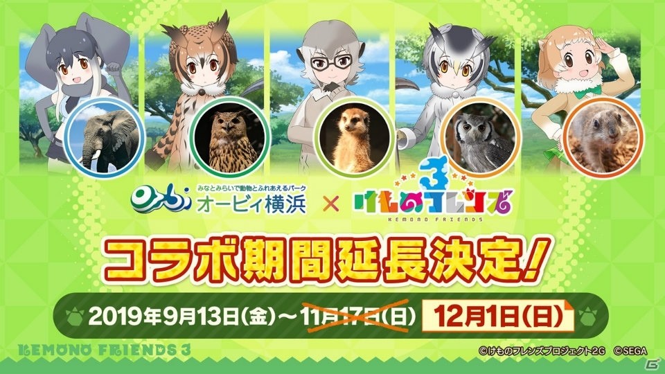 「けものフレンズ3」に新フレンズ・タイリクオオカミ（CV：伊藤かな恵）が登場！ちょこけも新章の1話目も公開にの画像10