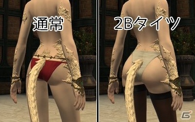 【編集部が遊んだゲーム】「FFXIV」パッチ5.1の2Bや「イースIX」の白猫ちゃんのスクショ撮影が捗るの画像5