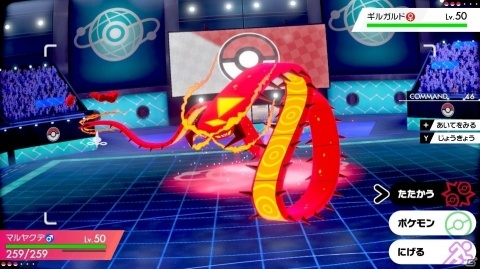 「ポケットモンスター ソード・シールド」ソフトによって異なるポケモンやジムリーダーを紹介！の画像19