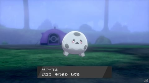 「ポケットモンスター ソード・シールド」ソフトによって異なるポケモンやジムリーダーを紹介！の画像51
