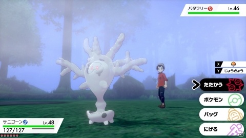 「ポケットモンスター ソード・シールド」ソフトによって異なるポケモンやジムリーダーを紹介！の画像54