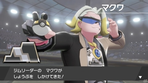 「ポケットモンスター ソード・シールド」ソフトによって異なるポケモンやジムリーダーを紹介！の画像63