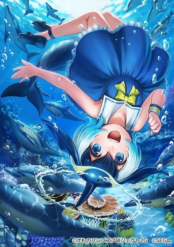 「けものフレンズ3」にカンザシフウチョウが仲間入り！「闇と舞え！漆黒のダークネスひな祭りしょうたい（後半）」が開催の画像3