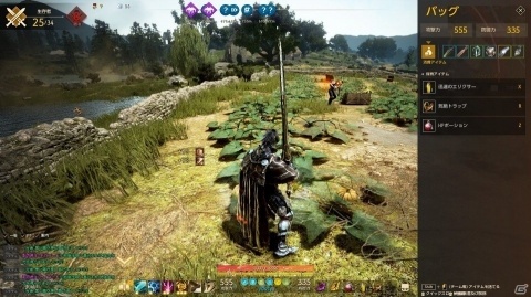 剣と魔法の世界で繰り広げられる新作バトロワ！「Shadow Arena」CBTプレイレポートの画像19