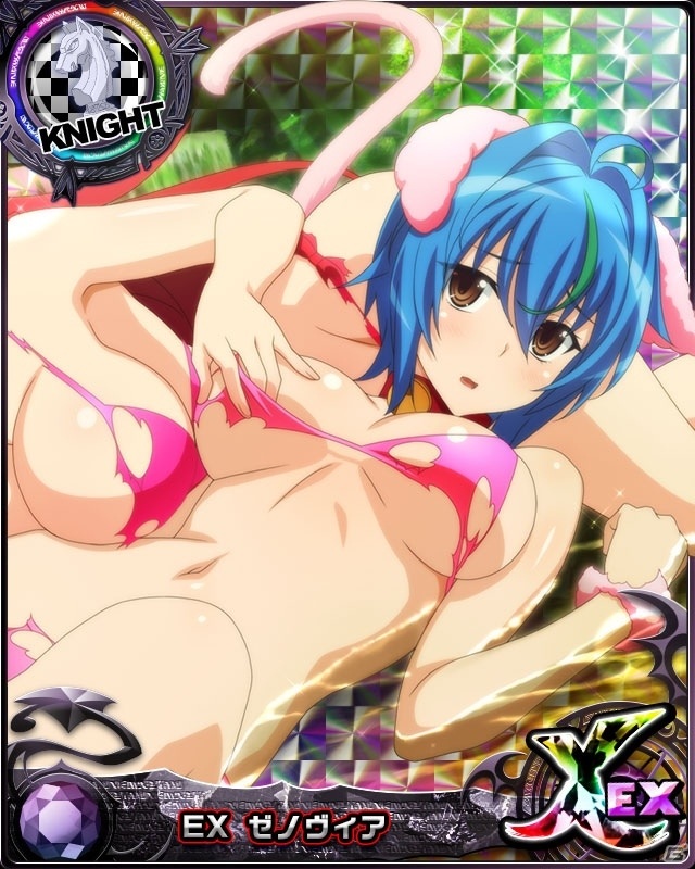 「ハイスクールD×D」クエストイベント「セクシーキュートなアニマル彼女！」開催中！の画像3