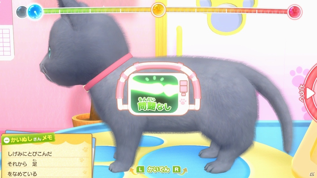 「わんニャンどうぶつ病院 ペットを助けるだいじなお仕事」が7月2日に発売！あこがれガールズコレクションのSwitch第二弾の画像6