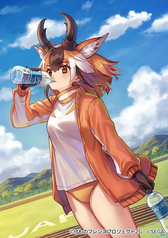 「けものフレンズ3」シナリオイベント「激走！追って追われてジャパリレース」が開催！の画像8