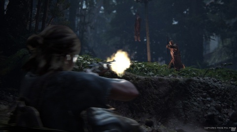 アクション、グラフィック、システムなど、あらゆる要素が前作からスケールアップ――「The Last of Us Part II」発売直前レビューの画像10
