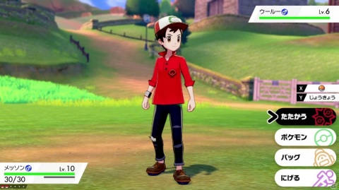 「劇場版ポケットモンスター ココ」新たな公開時期が2020年冬に決定!特別前売券は8月7日に発売の画像7