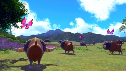 Switch「New ポケモンスナップ」が発売決定！さまざまなポケモンの生態を調査する、未知の島での冒険が始まるの画像14