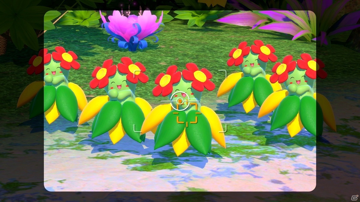 Switch「New ポケモンスナップ」が発売決定！さまざまなポケモンの生態を調査する、未知の島での冒険が始まるの画像12