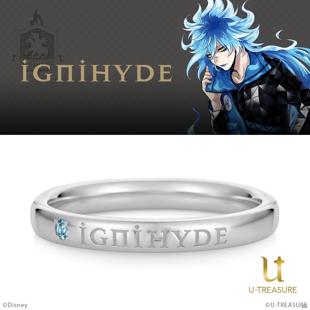 「ディズニー ツイステッドワンダーランド」ナイトレイブンカレッジの寮名が刻まれたメッセージリングが登場！の画像6