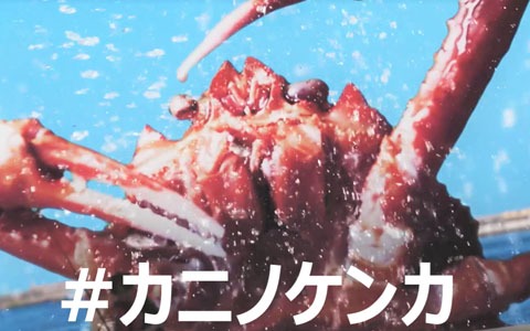 Switch版「カニノケンカ -Fight Crab-」のWEB限定CM第1弾が公開！公式Twitterでプレゼントキャンペーン開催も