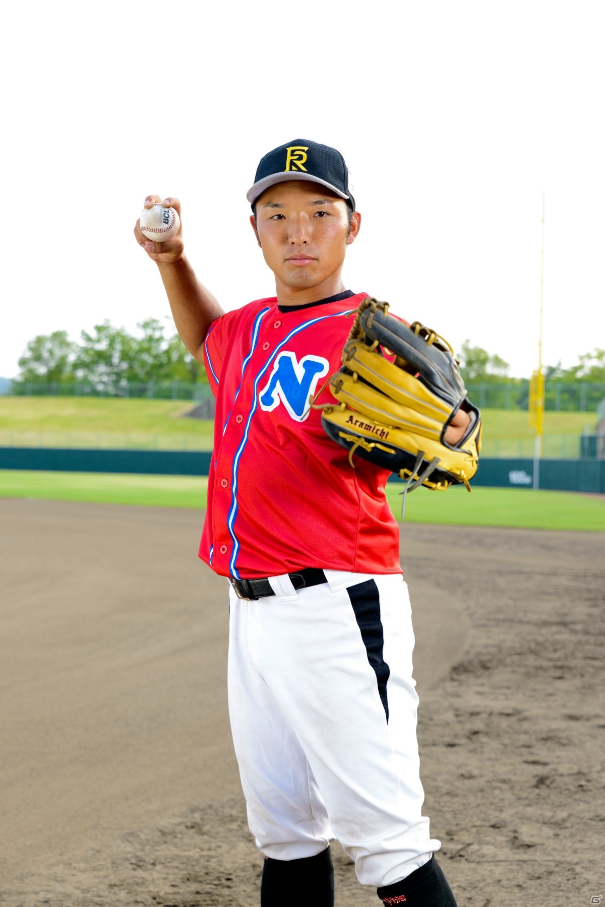 「プロ野球 ファミスタ 2020」とルートインBCリーグ「福井ワイルドラプターズ」がコラボ！の画像2