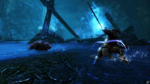 オープンワールドARPG「Kingdoms of Amalur: Re-Reckoning」PS4日本版も9月8日に発売決定！の画像5