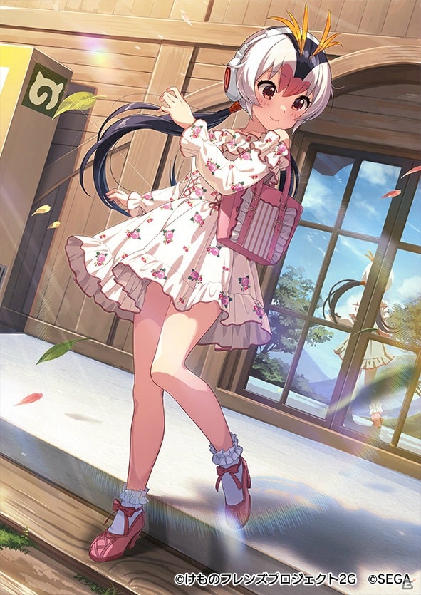 「けものフレンズ3」☆4シャチや☆4コディアックヒグマが登場するステップアップしょうたいが開始！の画像6