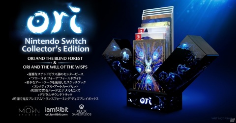 「Ori and the Will of the Wisps」がNintendo Switch向けに配信開始！コレクターズエディションも発売予定の画像14