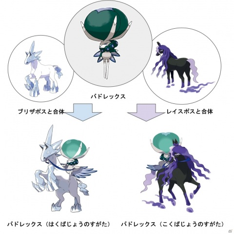 「ポケットモンスター ソード・シールド ＋ エキスパンションパス」が本日発売！の画像28