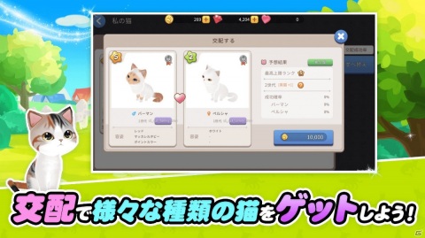 猫カフェ経営＆育成SLG「ごろごろこねこ」がiOS/Androidで12月に配信！事前登録がスタートの画像4