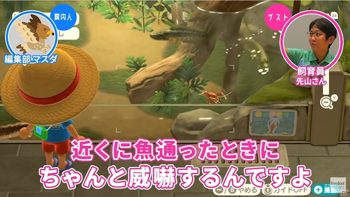 「あつまれ どうぶつの森」の水族館をサンシャイン水族館飼育スタッフと見る「ゲームさんぽ」動画が公開！の画像1