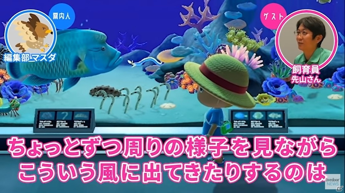 「あつまれ どうぶつの森」の水族館をサンシャイン水族館飼育スタッフと見る「ゲームさんぽ」動画が公開！の画像2