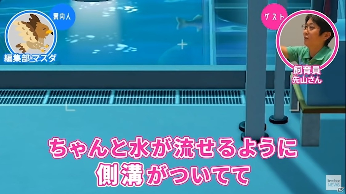「あつまれ どうぶつの森」の水族館をサンシャイン水族館飼育スタッフと見る「ゲームさんぽ」動画が公開！の画像8