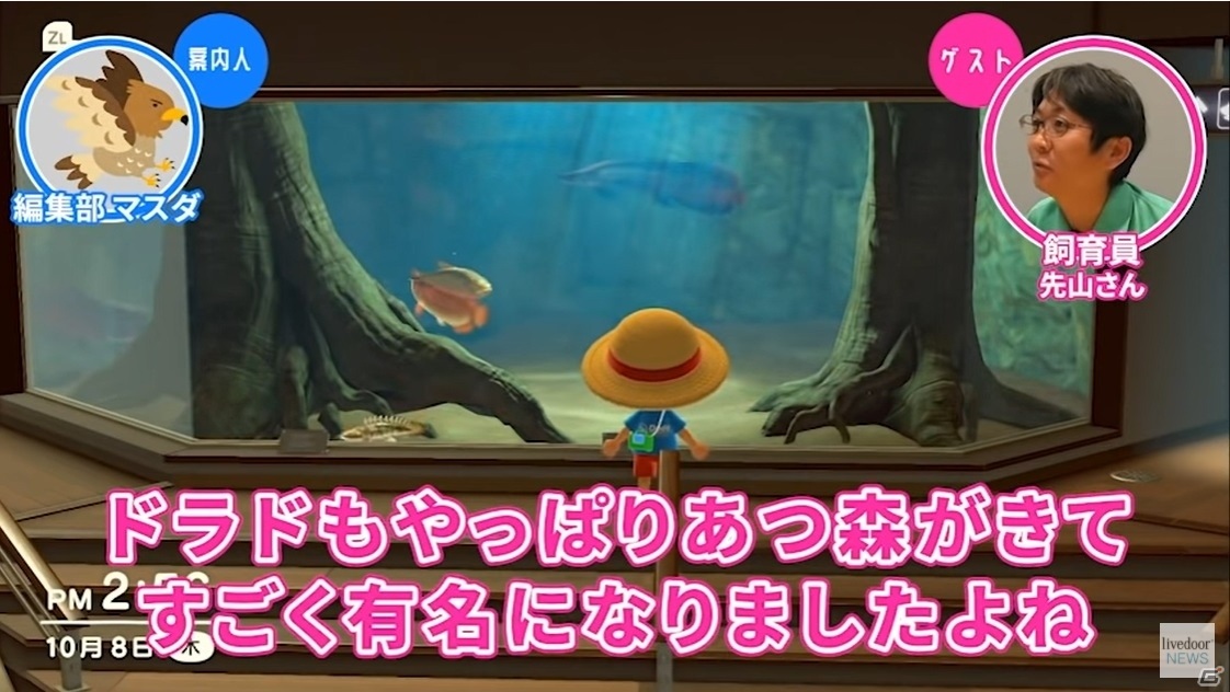 「あつまれ どうぶつの森」の水族館をサンシャイン水族館飼育スタッフと見る「ゲームさんぽ」動画が公開！の画像9