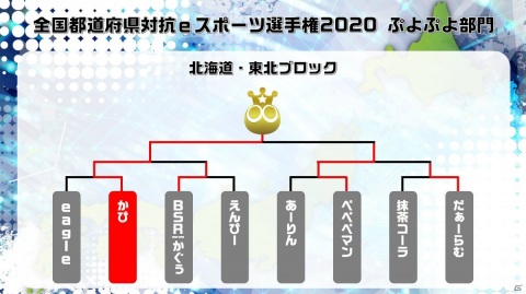 「全国都道府県対抗eスポーツ選手権 2020 ぷよぷよ部門」のブロック代表選手が公開！の画像6