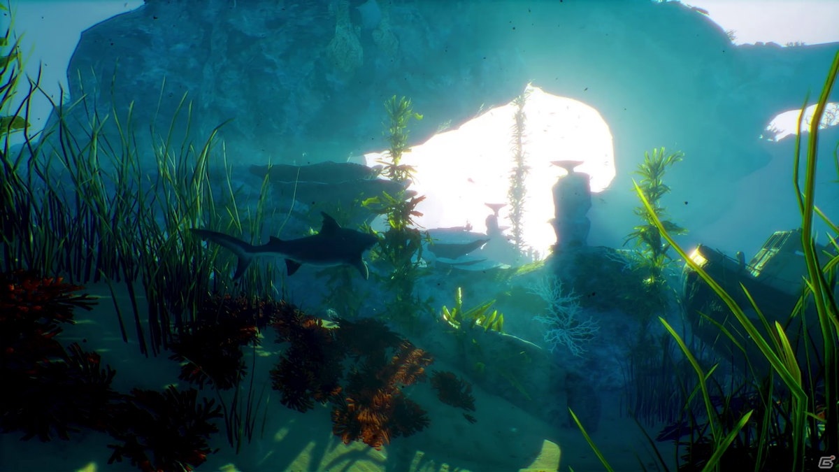 人類を喰って強くなれ―！異色のシャークオープンワールドアクション「Maneater」日本語版が発売！の画像3