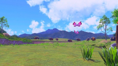 「New ポケモンスナップ」未開の地「レンティル地方」やイルミナ現象という謎、ゲームの遊び方を紹介！の画像2