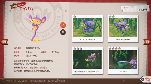 「New ポケモンスナップ」未開の地「レンティル地方」やイルミナ現象という謎、ゲームの遊び方を紹介！の画像39