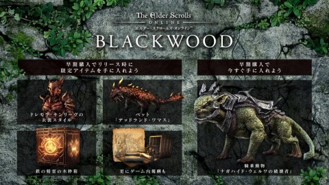 「エルダー・スクロールズ・オンライン」の新章「ブラックウッド」が6月1日に配信決定!早期購入受付が開始の画像3