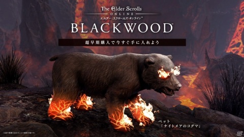 「エルダー・スクロールズ・オンライン」の新章「ブラックウッド」が6月1日に配信決定!早期購入受付が開始の画像4