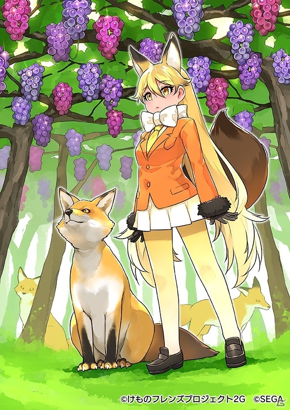 「けものフレンズ3」☆4タテゴトアザラシが登場！イベント「体力測定 タテゴトアザラシ編」が実施の画像5