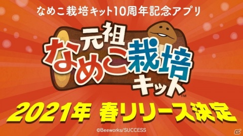 なめこ栽培キット10周年記念アプリ「元祖なめこ栽培キット」が今春リリース！の画像1