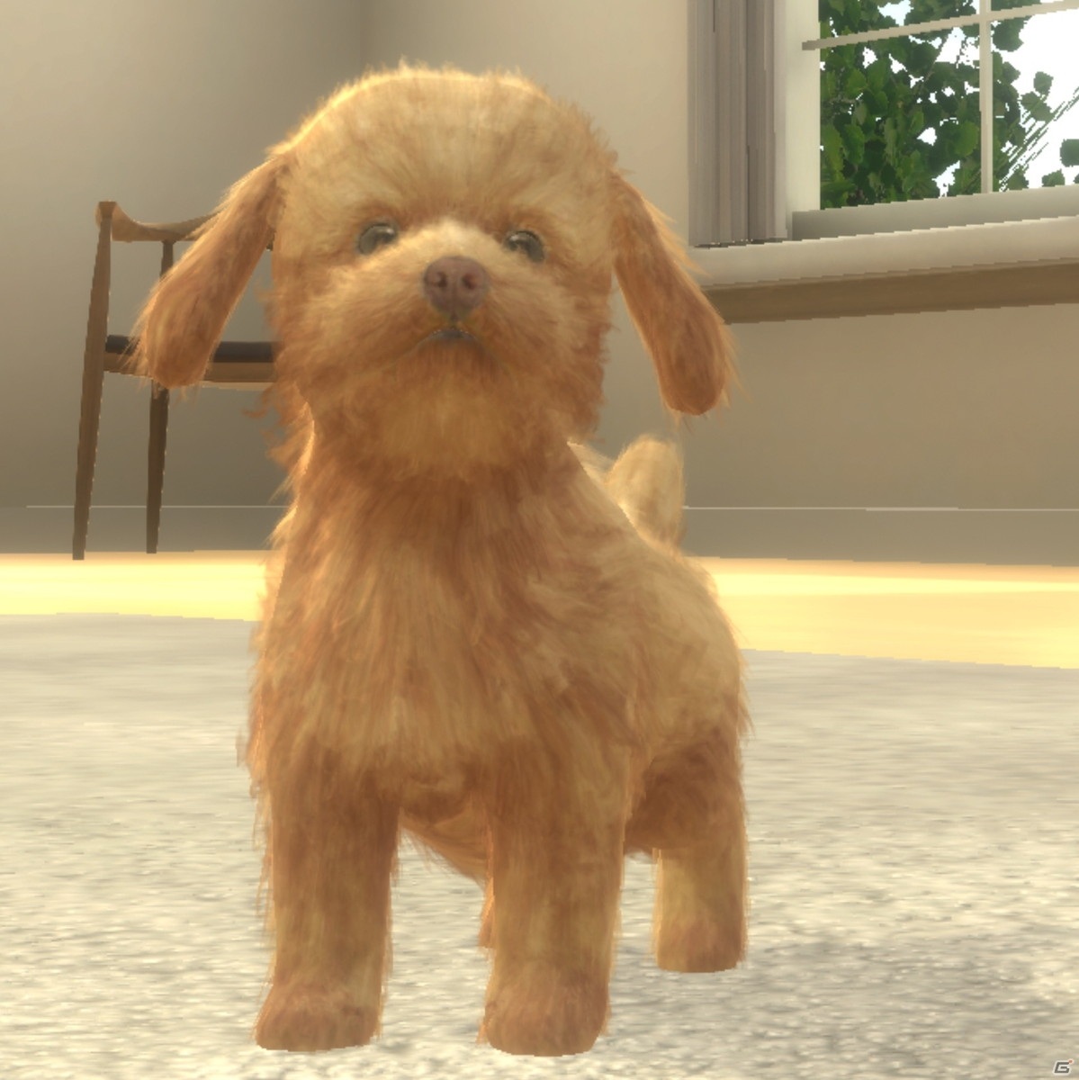 iOS版「with My DOG - 犬とくらそう -」が配信開始！190種類以上の子犬と出会える育成シミュレーションゲームの画像4