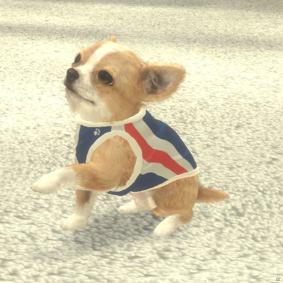 iOS版「with My DOG - 犬とくらそう -」が配信開始！190種類以上の子犬と出会える育成シミュレーションゲームの画像7