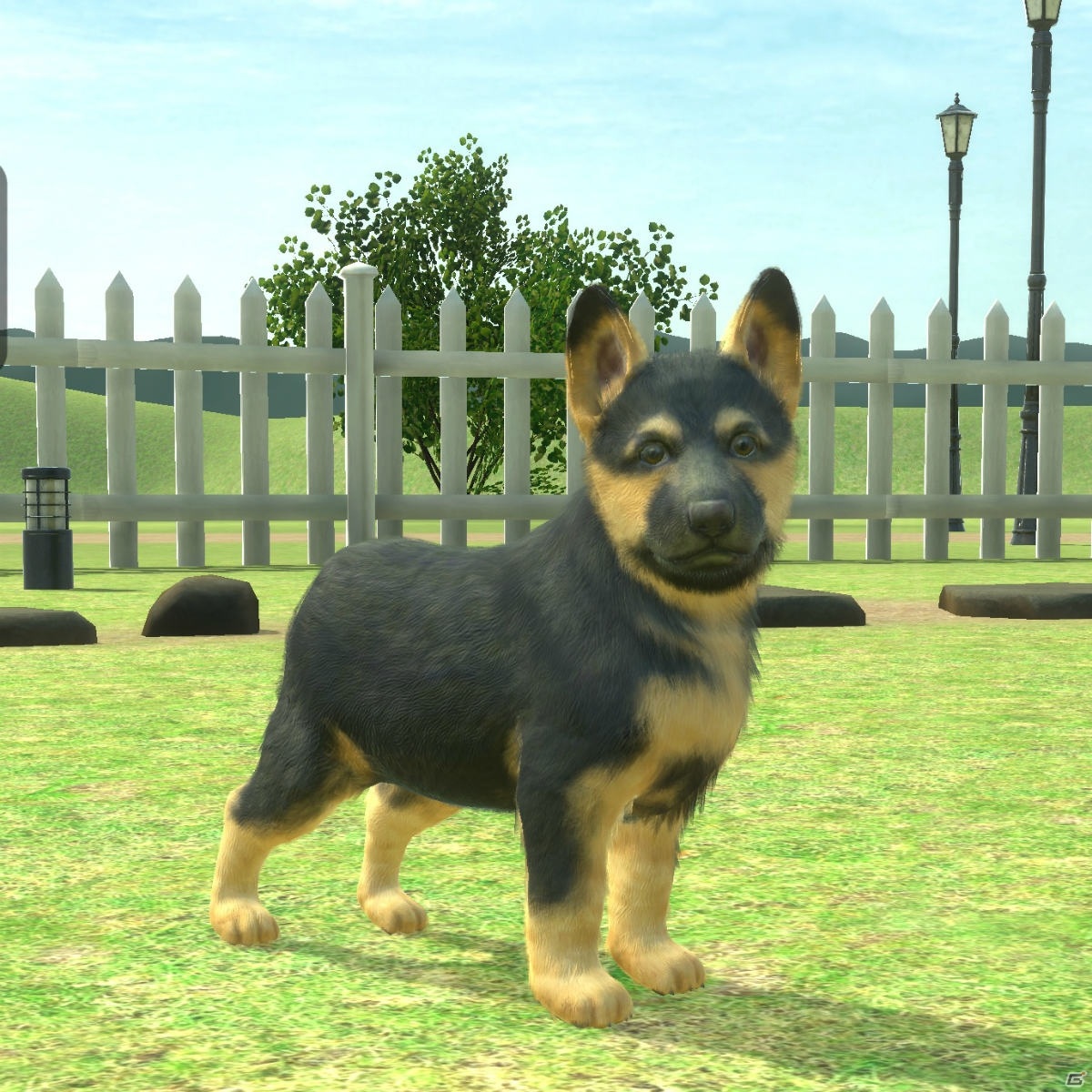 AR撮影も楽しめる育成シミュレーション「with My DOG - 犬とくらそう -」のAndroid版が配信！の画像5