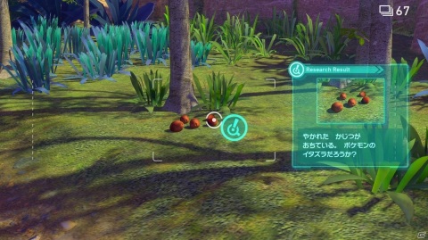 「New ポケモンスナップ」のゲームシステムや遊びかたを紹介！意外なところにもポケモンが？の画像16