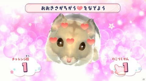 ハムスターとのふれあいを楽しもう！育成シミュレーション「じゃんがりあん物語」がSwitchで5月20日に発売の画像2