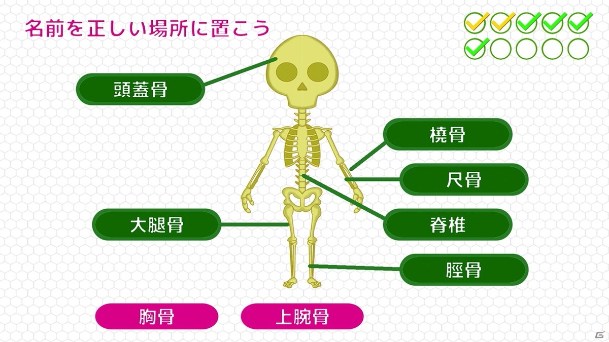 遊びながら人体のシステムを学べる子供向け教育アドベンチャーゲーム「BodyQuest - ボディークエスト」が発売！の画像3