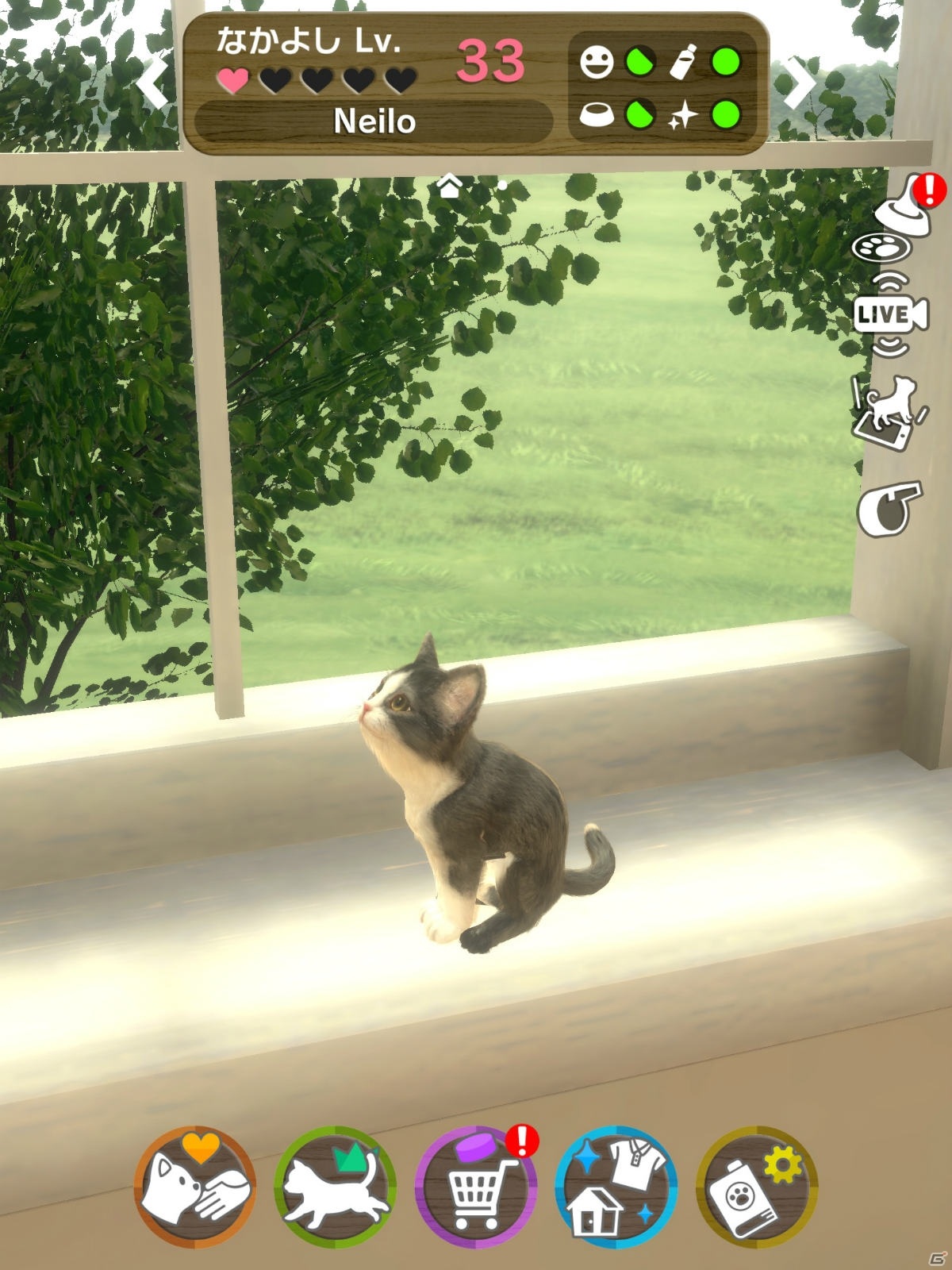 いつでもどこでも猫とふれあえる！iOS/Android「with My CAT - 猫とくらそう -」が4月5日に配信の画像2
