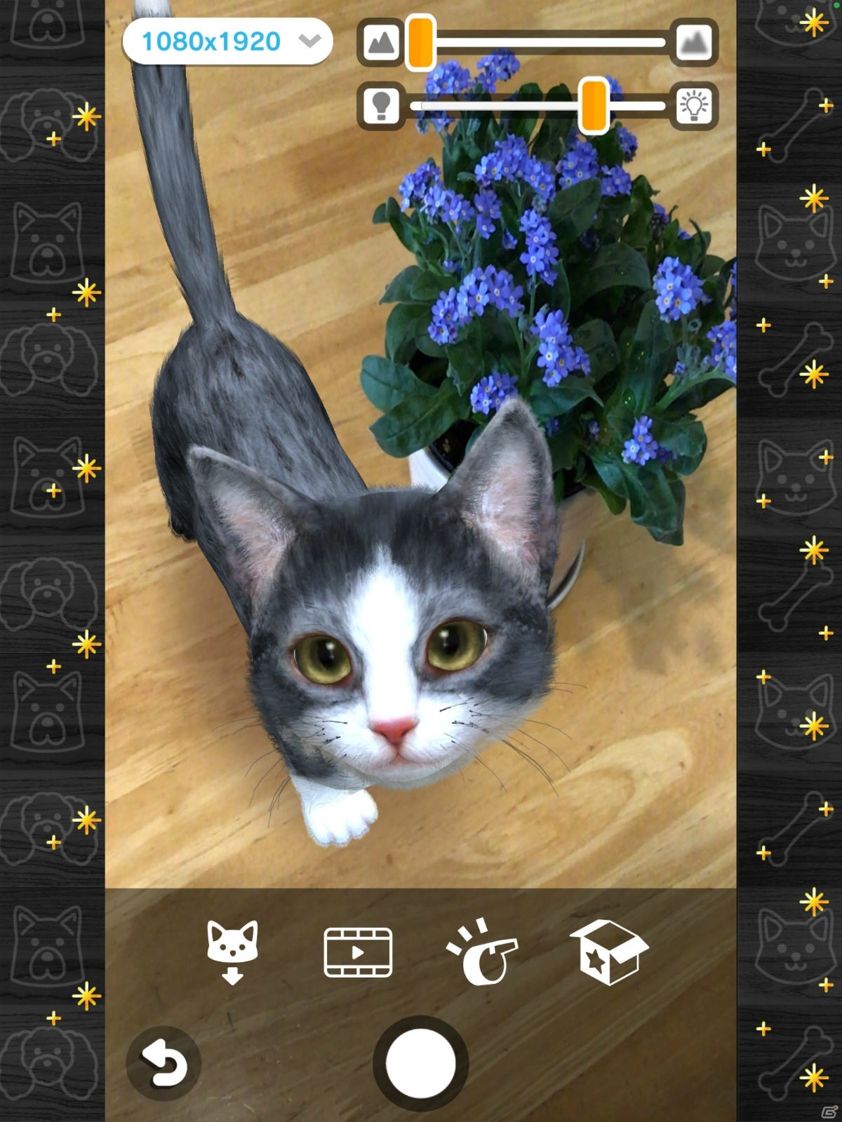 いつでもどこでも猫とふれあえる！iOS/Android「with My CAT - 猫とくらそう -」が4月5日に配信の画像4