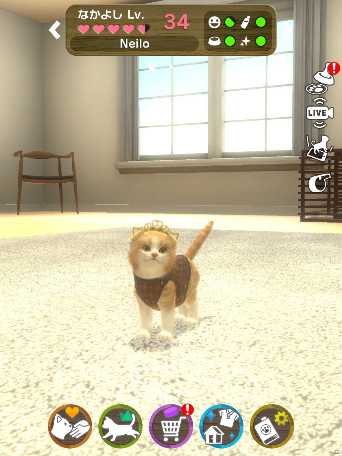 いつでもどこでも猫とふれあえる！iOS/Android「with My CAT - 猫とくらそう -」が4月5日に配信の画像7