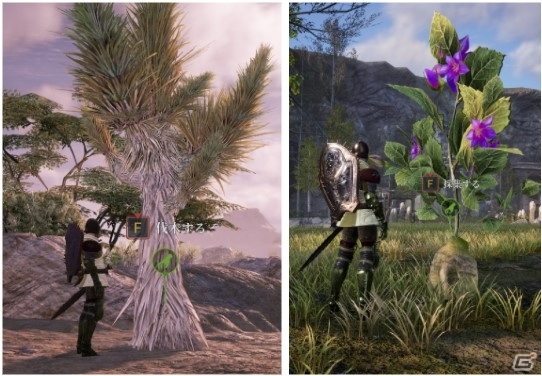 「BLESS UNLEASHED」フィールドに突如現れるオブジェクト「巨大な採集物」の解説動画が公開！の画像4